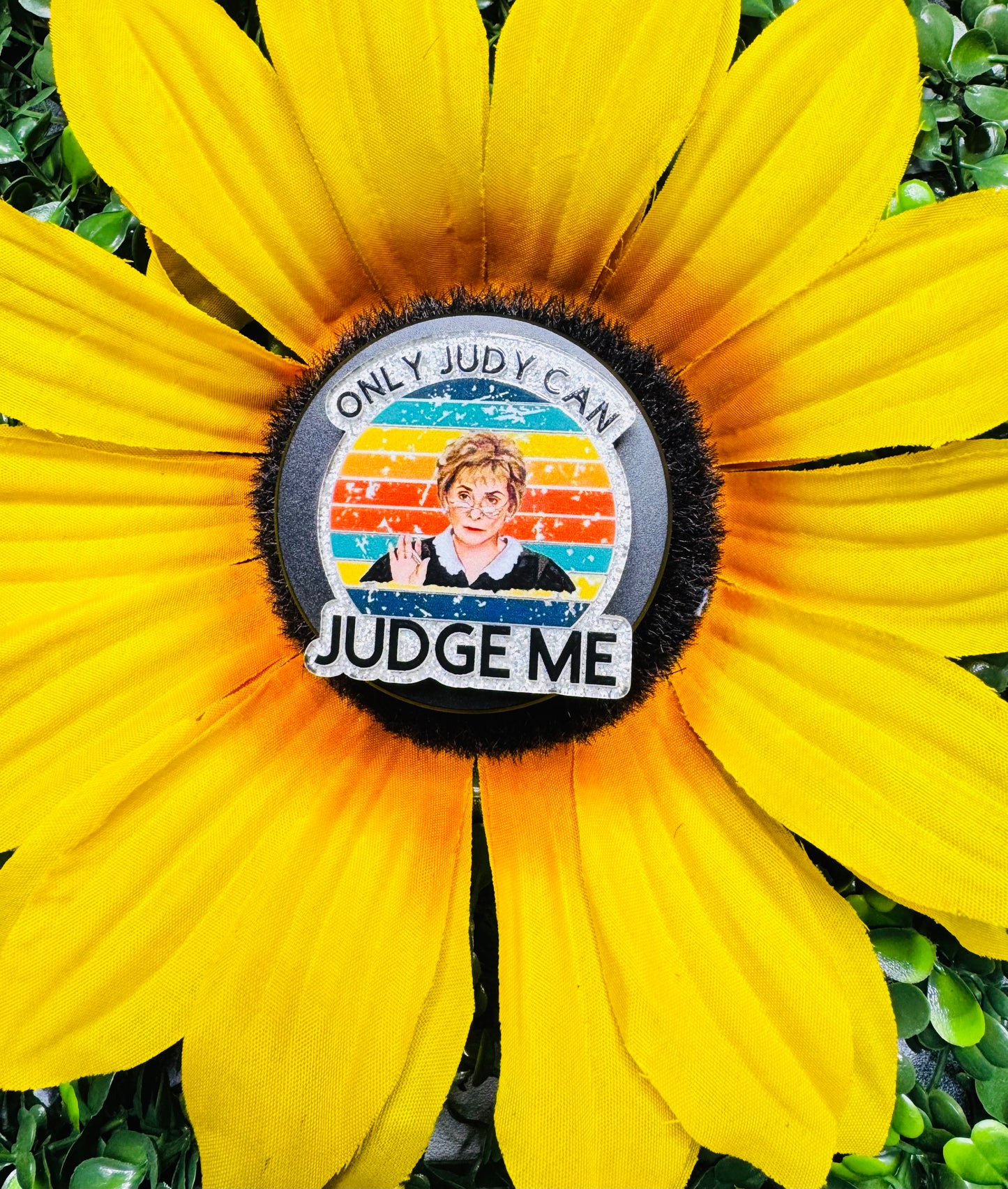 Judge Judy
