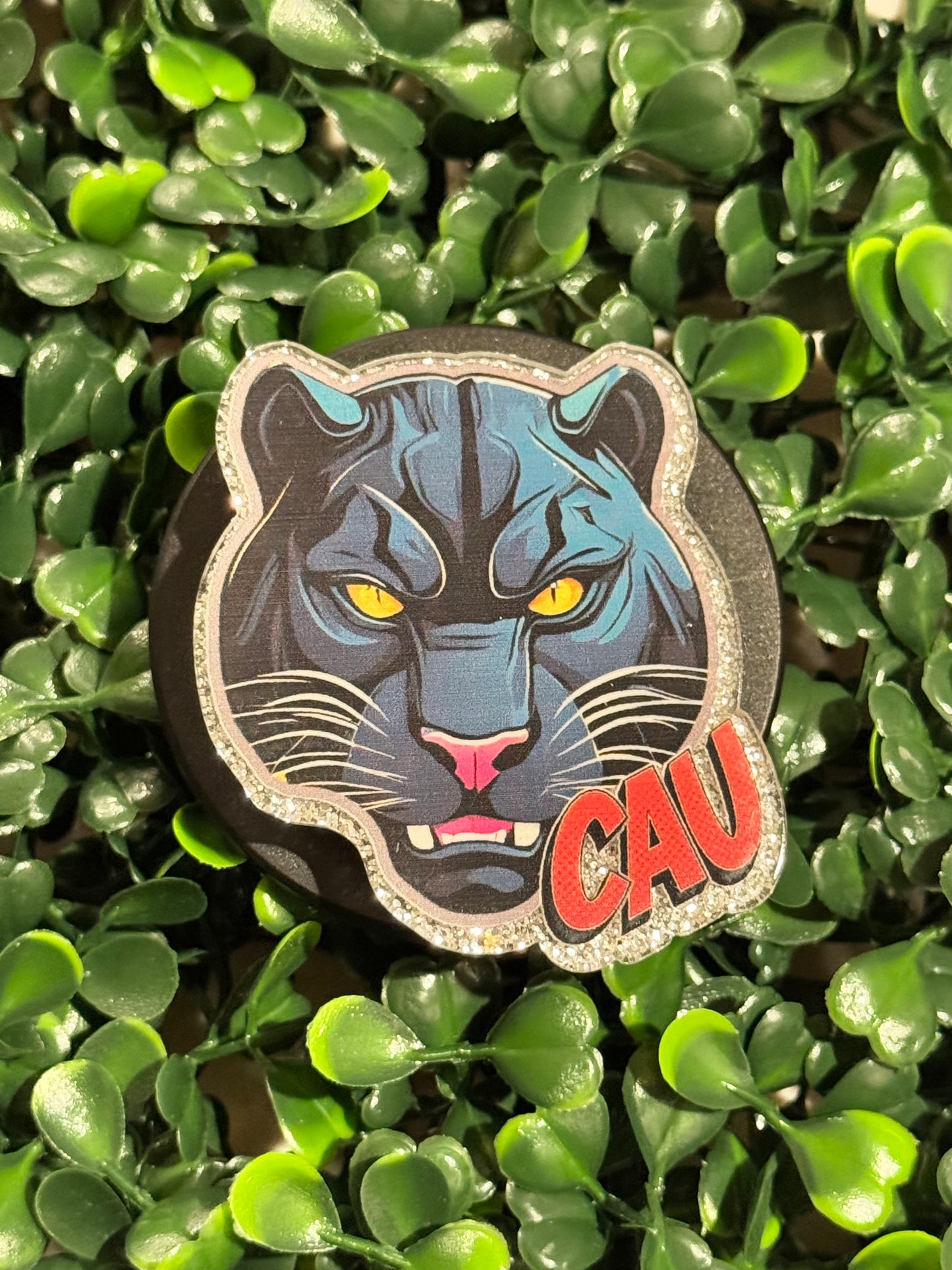 CAU Poppin’
